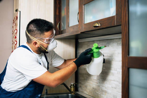 Best Termite Control Services  in Mccla, AL