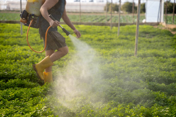 Best Commercial Pest Control Services  in Mccla, AL