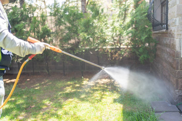 Best Spider Control Near Me  in Mccla, AL