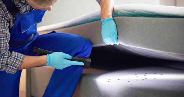 Best Mosquito Control Services  in Mccla, AL