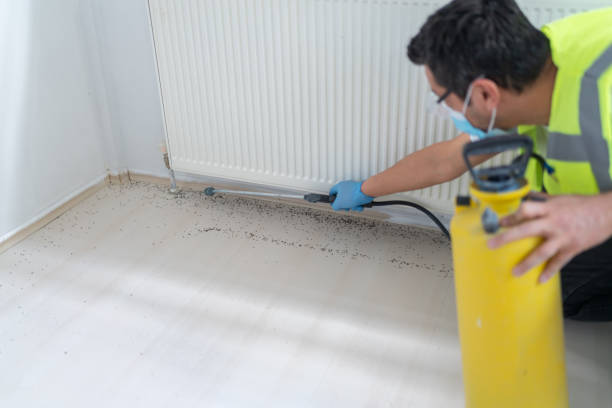 Best Pest Control Near Me in Mccalla, AL